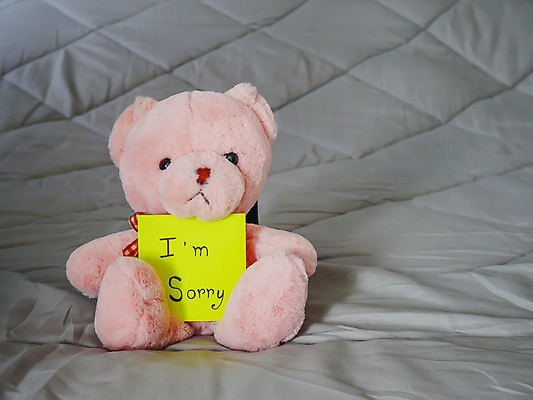 포토 JPG 해외이미지 동물 1 디자인 종이 인형 백그라운드 컨셉 곰 학교 포옹 털 선물 사람없음 빨간색 장난감 노란색 라벨 귀여움 쪽지 침대 축하 신용카드 발표 메시지 작음 오브젝트 사인 싱글 정사각형 부드러움 공지사항 시트 솜털 미안 어려움 조언 해외202004 해외포토 도형 교육 컬러 가구 포유류 안기 프레임 금융 감각 사죄 크기 파일형식 이미지허브