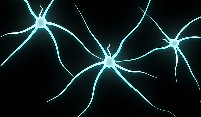 포토 JPG 해외이미지 과학 해부 세포 실내 건강 사람 사람없음 약 3D 건강관리 흐름 에너지 마음 감각 확대 맥박 자르기 불안 뇌 생물학 신호 전자 미생물 시스템 모터 바이오 해외202004 해외포토 교육 감정 컨셉 의학 모션 생물 관리 내부 디지털합성 파일형식 이미지허브