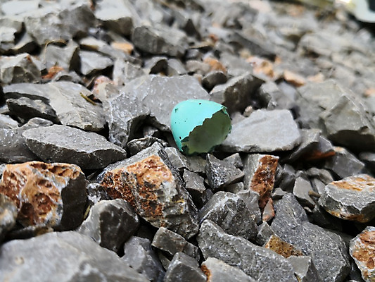 포토 JPG 해외이미지 동물 백그라운드 컨셉 자연 조류 부활절 새로움 사람없음 계란 치킨 놀람 손상 껍질 흰색 균열 보호 심볼 오브젝트 날것 내추럴 고립 깨짐 돌봄 해외202004 해외포토 기념일 감정 컬러 모션 표정 알 생태계 닭고기요리 파일형식 이미지허브