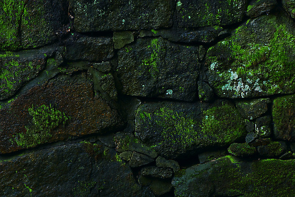 포토 JPG 해외이미지 벽 백그라운드 건축양식 표면 추상 이끼 사람없음 장식 초록색 어둠 회색 젖음 바위 부식 질감 옛날 노화 해외202004 해외포토 건축 컬러 컨셉 무늬 돌_바위 파일형식 이미지허브