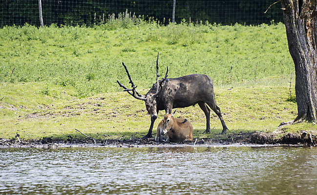 포토 JPG 해외이미지 사람없음 물 해외202004 해외포토 자연요소 파일형식 이미지허브