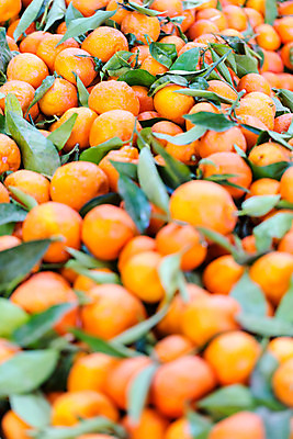 포토 JPG 해외이미지 식물 음식 백그라운드 잎 패턴 농업 오렌지 과일 자연 벽지 귤 건강 사람없음 초록색 농장 노란색 쌓기 식사 주스 수확 흰색 신선 그룹 시장 닫기 달콤 농부 다발 유기농 날것 내추럴 분양 숙성 이국적 채식주의자 많음 해외202004 해외포토 직업 웰빙 산업 음료 컬러 컨셉 무늬 모션 부동산 맛 생태계 채식 파일형식 이미지허브