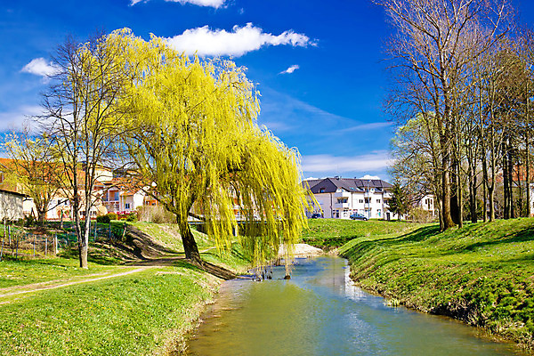 포토 JPG 해외이미지 나무 구름 외관 공원 유럽 종교 길 시계 여행 건축양식 자연 하늘 휴가 풍경 사람없음 물 파란색 강 탑 바위 흰색 도시 개울 성 중세 역사 버드나무 언덕 타운 크로아티아 로마인 옛날 해외202004 해외포토 자연요소 식물 건축물 공공시설 건축 나라 컬러 인종 돌_바위 생태계 파일형식 이미지허브