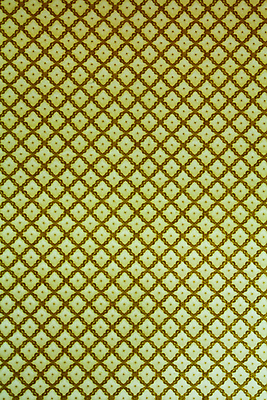 포토 JPG 해외이미지 식물 디자인 종이 벽 백그라운드 잎 꽃무늬 패턴 곡선 일러스트 벽지 미술 사람없음 장식 어둠 카펫 골동품 소용돌이 직물 화려 재산 고급 우아함 실크 질감 복고 구식 르네상스 바로크 엘리먼트 옛날 회복 스타일 해외202004 해외포토 꽃 선 컨셉 무늬 문화예술 금융 회오리 파일형식 이미지허브