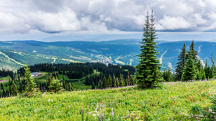 포토 JPG 해외이미지 나무 식물 구름 계절 꽃 여행 캐나다 밭 자연 하늘 산 풍경 사람없음 야외 초록색 컬러풀 노란색 환경 계곡 침묵 봄 활발 흰색 신선 소나무 숲 언덕 장면 내추럴 절정 해외202004 해외포토 자연요소 컬러 컨셉 북아메리카 농업 소리 생태계 파일형식 이미지허브