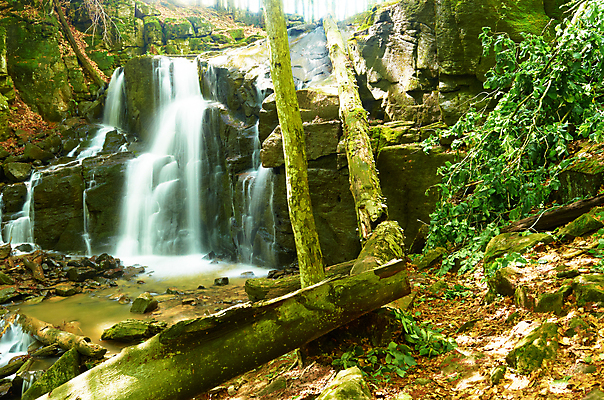 포토 JPG 해외이미지 나무 식물 공원 잎 모션 자연 산 이끼 풍경 사람없음 야외 목재 초록색 물 여름 강 환경 봄 폭포 흐름 가을 바위 나뭇가지 신선 개울 떨어짐 숲 큼 순수 생태계 내추럴 해외202004 해외포토 자연요소 계절 공공시설 컬러 컨셉 재료 돌_바위 크기 파일형식 이미지허브
