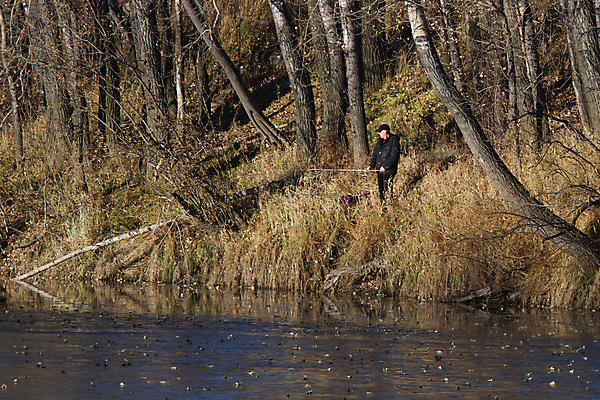 포토 JPG 해외이미지 나무 남자 호수 스포츠 자연 낚시 한명 사람 풍경 취미 야외 물 태양 반사 추위 가을 연못 낚시꾼 민물 유일 해외202004 해외포토 자연요소 식물 1 계절 레저 생태계 파일형식 이미지허브