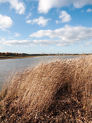 포토 JPG 해외이미지 구름 모래 자연 지팡이 하늘 갈대 풍경 사람없음 야외 가로 물 파란색 강 모래사장 컬러풀 반사 환경 봄 나뭇가지 바 티켓 수면 숲 강가 신비 관목 산등성이 흐림 내추럴 해외202004 해외포토 자연요소 나무 식물 계절 바다 컬러 컨셉 날씨 산 생태계 파일형식 이미지허브