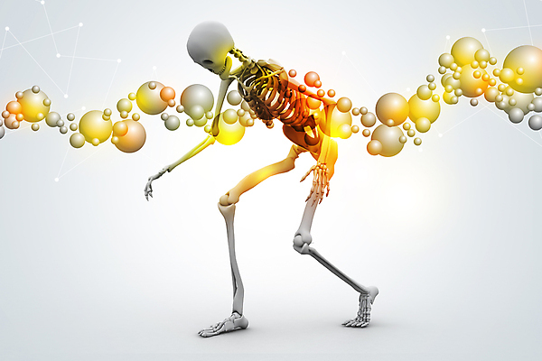 포토 JPG 해외이미지 모델 편집 교육 남자 과학 포즈 신체 일러스트 해부 뼈 골격 엑스레이 건강 사람 사람없음 내부 그래픽 3D 의사 오르간 척추 생물학 새장 시스템 갈비뼈 궤 스캔 해골모형 해외202004 해외포토 의학 모형 의료진 건반악기 디지털합성 케이지 파일형식 이미지허브