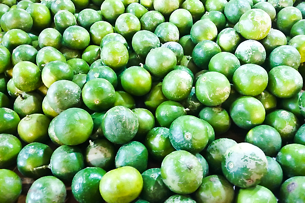 포토 JPG 해외이미지 아시아 음식 백그라운드 다이어트 과일 재료 자연 귤 건강 사람없음 초록색 신선 그룹 시장 레몬 유기농 날것 내추럴 숙성 해외202004 해외포토 웰빙 나라 컬러 생태계 파일형식 이미지허브