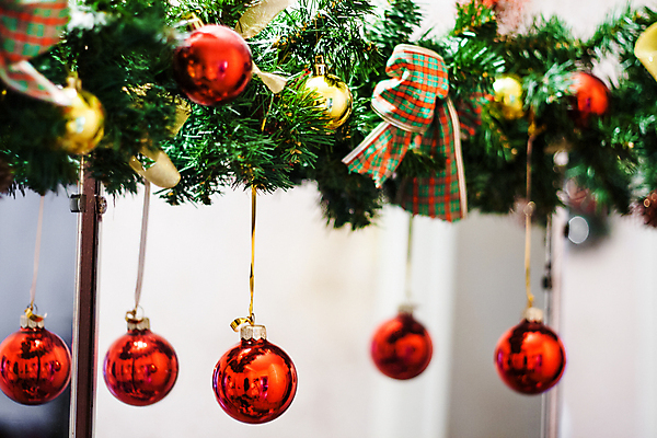 포토 JPG 해외이미지 모양 나무 디자인 문화 백그라운드 크리스마스 겨울 공 탁자 휴가 새로움 프레임 사람 사람없음 목재 장식 빨간색 초록색 울타리 반사 우주 화환 금지 흰색 나뭇가지 시골 축하 인사 화려 황금 저녁 연도 활 질감 복고 초대 상록수 침엽수 전나무 구식 방식 해외202004 해외포토 식물 계절 기념일 꽃 컬러 가구 컨셉 재료 담장 예절 야간 파일형식 이미지허브