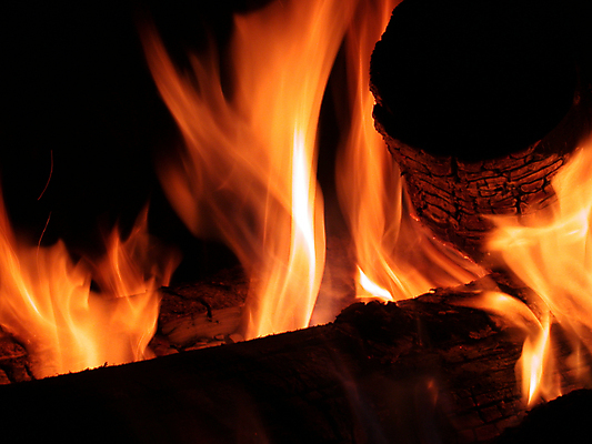 포토 JPG 해외이미지 나무 응시 사람없음 빨간색 빛 소풍 노란색 검은색 뜨거움 센터 야간 위험 모닥불 통나무 해외202004 해외포토 자연요소 식물 시선 컬러 컨셉 불 야외활동 파일형식 이미지허브