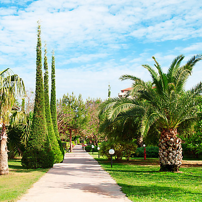 포토 JPG 해외이미지 나무 식물 공원 꽃 길 여행 잎 자연 하늘 호텔 휴가 손바닥 풍경 잔디 사람없음 야외 목재 초록색 여름 파란색 울타리 태양 평화 정원 맑음 봄 산책 산책로 흰색 그룹 화단 장면 코코넛 천국 내추럴 이국적 해외202004 해외포토 자연요소 손 계절 공공시설 컬러 컨셉 과일 재료 숙소 날씨 휴식 담장 생태계 파일형식 이미지허브
