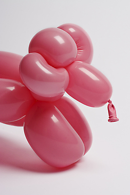 포토 JPG 해외이미지 동물 조각 장난 놀이 창조 미술 사람없음 장난감 농장 파티 기쁨 양 구부린 풍선 마법 양고기 외양간 해외202004 해외포토 감정 농업 포유류 모션 문화예술 육류 이벤트 파일형식 이미지허브