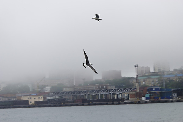 포토 JPG 해외이미지 주간 구름 호수 바다 여행 백그라운드 날개 자연 벽지 갈매기 조류 하늘 산 항해 풍경 사람없음 야외 빨간색 물 파란색 햇빛 평화 검은색 침묵 안개 흰색 만 황금 언덕 대문 넘어짐 뿌연 아르메니아 터키석 수평선 해외202004 해외포토 자연요소 동물 컬러 컨셉 배_교통 모션 날씨 태양 문 소리 보석 생태계 파일형식 이미지허브