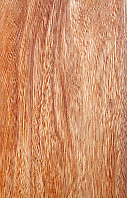 포토 JPG 해외이미지 나무 디자인 벽 백그라운드 단풍 자연 추상 실내 사람없음 목재 장식 가로 울타리 줄무늬 공백 얼룩 거친 널 매끈함 숲 목수 질감 자연백그라운드 목공예 결 구식 카피스페이스 해외202004 해외포토 식물 직업 잎 무늬 재료 내부 담장 감각 공예 생태계 파일형식 이미지허브