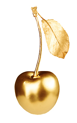 포토 JPG 해외이미지 1 열매 음식 줄기 잎 과일 디저트 건강 사람없음 여름 빛 흰색 신선 체리 황금 달콤 맛 싱글 흰배경 상쾌 유기농 날것 고립 과육 숙성 채식주의자 해외202004 해외포토 식물 웰빙 계절 감정 컬러 백그라운드 컨셉 채식 파일형식 이미지허브