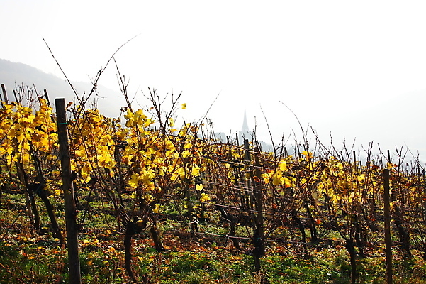 포토 JPG 해외이미지 실루엣 사람없음 해외202004 해외포토 촬영기법 파일형식 이미지허브