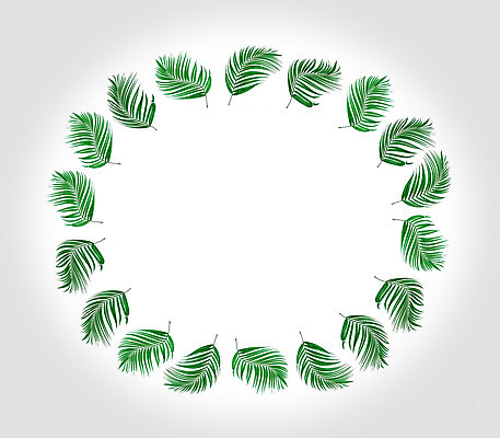 포토 JPG 해외이미지 나무 식물 아이콘 계절 줄기 백그라운드 잎 패턴 일러스트 자연 프레임 손바닥 풍경 사람없음 초록색 여름 세트 정원 성장 흰색 나뭇가지 숲 심볼 오브젝트 그림 질감 코코넛 내추럴 해외202004 해외포토 손 컬러 무늬 과일 생태계 파일형식 이미지허브