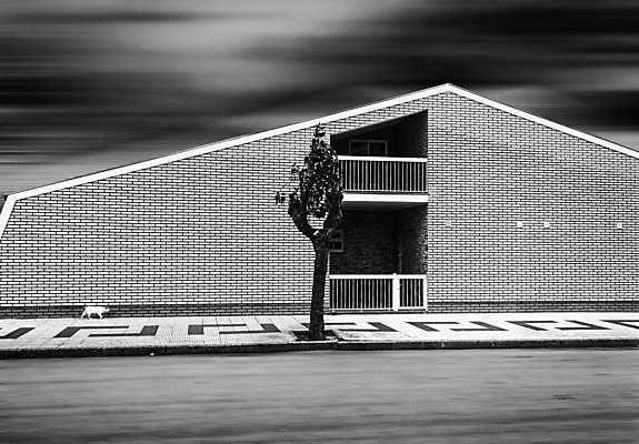 포토 JPG 해외이미지 나무 동물 1 도로 길 백그라운드 이동 건축양식 모션 표면 벽돌 거리 주택 그림자 사람없음 건물 고양이 어둠 산책 발코니 도시 보행로 매끈함 소프트포커스 그늘 오솔길 시골집 타운 방법 특별함 혼자 해외202004 해외포토 식물 건축물 건축 컨셉 포유류 교통시설 휴식 촬영기법 반려동물 감각 파일형식 이미지허브