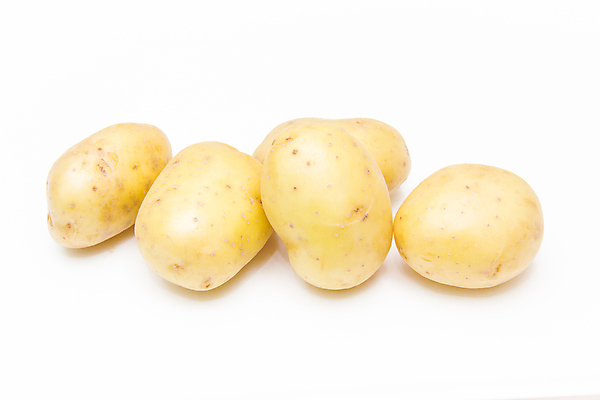 포토 JPG 해외이미지 식물 전통 음식 백그라운드 농업 다이어트 채소 재료 자연 감자 건강 요리 사람없음 목재 농작물 농장 갈색 노란색 수확 성장 흰색 신선 그룹 시장 맛 먹기 가득함 유기농 날것 뿌리 흙더미 내추럴 고립 녹말 생식 숙성 채식주의자 탄수화물 해외202004 해외포토 나무 웰빙 산업 컬러 컨셉 모션 흙 생태계 채식 파일형식 더미 이미지허브