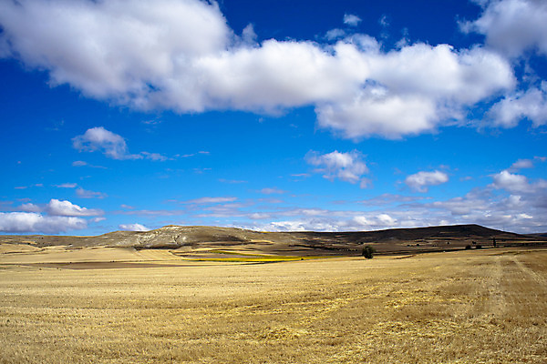 포토 JPG 해외이미지 구름 꽃잎 꽃 도로 줄기 잎 밭 농업 자연 휴가 거리 건조 파노라마 옥수수 씨앗 풍경 사람없음 내부 농작물 태양 맑음 흙 하이킹 수확 시골 스페인 볏짚 밀 만취 귀 철사 밀짚 밭일 산티아고 순례 주장 해외202004 해외포토 자연요소 식물 유럽 산업 길 교통시설 레저 날씨 곡류 촬영기법 신체부위 짚 생태계 술취함 파일형식 이미지허브