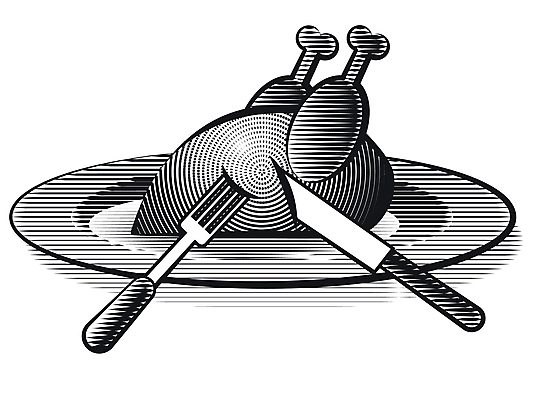 포토 JPG 해외이미지 접시 음식 일러스트 흑백 육류 사람없음 검은색 식사 저녁식사 치킨 튀김 흰색 맛 그릴 인쇄 바비큐 굽기 판화 점심식사 드럼스틱 해외202004 해외포토 식기 컬러 컨셉 식재료 주방용품 촬영기법 미술 구이 닭고기요리 파일형식 이미지허브