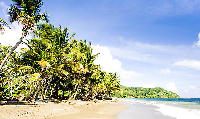 포토 JPG 해외이미지 나무 식물 외관 바다 섬 여행 자연 휴가 손바닥 풍경 해변 사람없음 야외 여름 야자수 미국 침묵 고요 만 세계여행 중앙아메리카 고독 조용 대서양 내추럴 서인도제도 파라다이스 해외202004 해외포토 손 계절 감정 북아메리카 아메리카 세계 소리 생태계 파일형식 이미지허브
