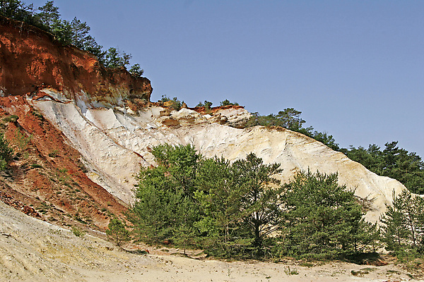 포토 JPG 해외이미지 나무 풍경 사람없음 프랑스 암초 프로방스 해외202004 해외포토 식물 유럽 파일형식 이미지허브