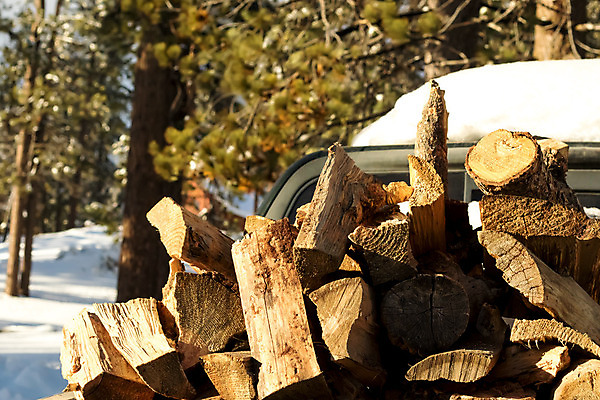 포토 JPG 해외이미지 식물 계절 호수 겨울 자연 휴가 산 건조 풍경 사람없음 야외 글로벌 환경 사막 추위 소나무 변화 숲 장작 캘리포니아 수납 짐차 무거움 남쪽 로스앤젤레스 해외202004 해외포토 나무 컨셉 자동차 미국 무게 방향 생태계 파일형식 이미지허브