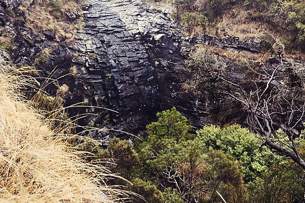 포토 JPG 해외이미지 나무 공원 여행 자연 사람없음 물 폭포 호주 해외202004 해외포토 자연요소 식물 공공시설 오세아니아 생태계 파일형식 이미지허브