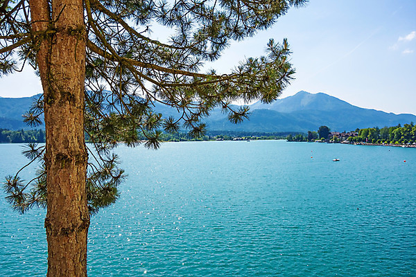 포토 JPG 해외이미지 나무 유럽 호수 여행 휴가 산 풍경 사람없음 물 파란색 소나무 오스트리아 성자 시력 터키석 해외202004 해외포토 자연요소 식물 나라 종교 컬러 보석 파일형식 이미지허브