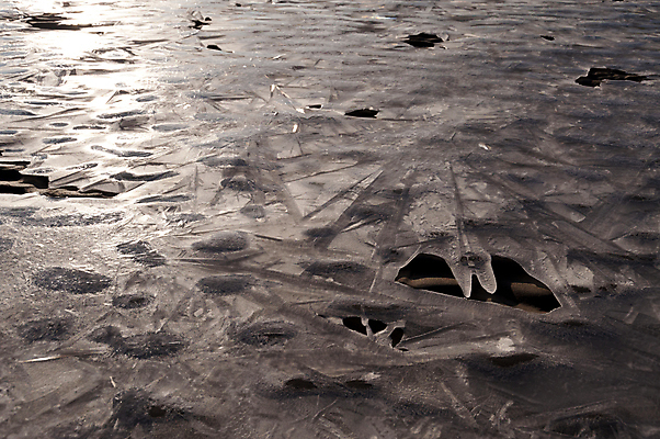 포토 JPG 해외이미지 모래 바다 섬 백그라운드 겨울 자연 독일 국립공원 풍경 사람없음 물 얼음 추위 모래언덕 묘사 질감 서리 해외202004 해외포토 자연요소 계절 공원 유럽 언덕 생태계 파일형식 이미지허브