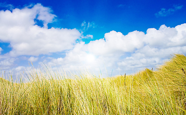 포토 JPG 해외이미지 구름 유럽 모래 바다 섬 여행 자연 하늘 바람 날씨 휴가 독일 풍경 사람없음 야외 초록색 물 여름 파란색 빛 햇빛 태양 맑음 봄 모래언덕 네덜란드 북쪽 수평선 해외202004 해외포토 자연요소 계절 나라 컬러 방향 언덕 생태계 파일형식 이미지허브