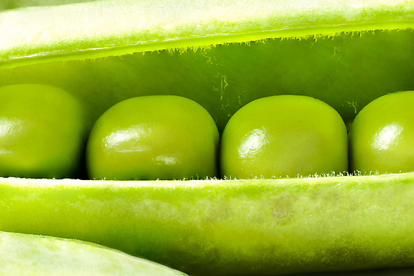 포토 JPG 해외이미지 식물 음식 백그라운드 잎 농업 다이어트 채소 과일 재료 콩 건강 씨앗 사람없음 초록색 쌓기 활발 수확 성장 흰색 신선 오픈 우아함 낟알 시리얼 먹기 오브젝트 유기농 질감 완두콩 날것 내추럴 고립 꼬투리 숙성 줄서기 채식주의자 비건 해외202004 해외포토 웰빙 산업 컬러 컨셉 모션 곡류 채식 파일형식 이미지허브