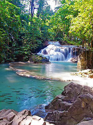 포토 JPG 해외이미지 나무 식물 공원 아시아 여행 잎 태국 자연 조류 산 바닥 어류 동양인 사람없음 물 여름 컬러풀 폭포 흐름 바위 신선 개울 숲 강의 즐거움 운하 에메랄드 층 내추럴 루트 보호구역 웅장함 전국 파라다이스 현재 해외202004 해외포토 자연요소 동물 계절 공공시설 감정 나라 컬러 컨셉 인종 강 수중동물 돌_바위 보석 생태계 구역 파일형식 이미지허브