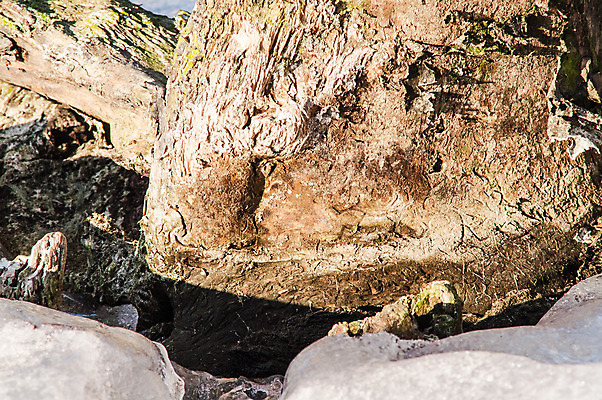 포토 JPG 해외이미지 나무 계절 공원 호수 백그라운드 겨울 자연 하늘 동화 날씨 이야기 풍경 사람없음 야외 물 파란색 빛 강 반사 맑음 냉동 얼음 침묵 추위 안개 흰색 나뭇가지 연못 소나무 개울 황무지 떨어짐 숲 시원함 12월 서리 엽서 장면 마법 내추럴 벌거벗은 폭설 해외202004 해외포토 자연요소 식물 공공시설 컬러 컨셉 눈_날씨 소리 날짜 자연재해 편지 생태계 파일형식 이미지허브