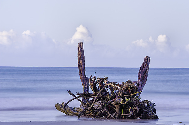 포토 JPG 해외이미지 나무 구름 모래 바다 이동 자연 하늘 아침 풍경 사람없음 야외 목재 물 여름 파란색 컬러풀 침묵 새벽 죽음 통나무 뿌리 태평양 해외202004 해외포토 주간 자연요소 식물 계절 컬러 컨셉 재료 소리 생태계 파일형식 이미지허브
