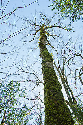 포토 JPG 해외이미지 나무 식물 손 계절 잎 자연 손잡이 이끼 사람없음 야외 초록색 울타리 상자 정원 봄 성장 칼날 닫기 발굴 원예 클립 날카로움 다듬기 돌봄 옛날 울퉁불퉁 원예사 제목 그리너리 해외202004 해외포토 직업 컬러 모션 취미 신체부위 담장 생태계 파일형식 트랜드컬러 이미지허브