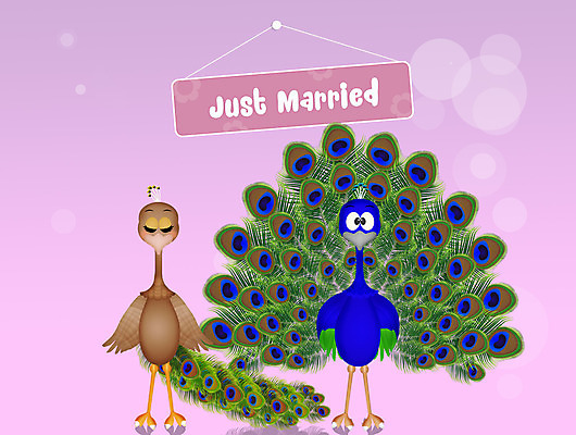 포토 JPG 해외이미지 동물 커플 여자 남자 결혼 일러스트 자연 조류 결혼식 사람없음 장식 초록색 파란색 컬러풀 축하 공작 만화 깃털 꼬리 해외202004 해외포토 컬러 컨셉 관계 사람 이벤트 생태계 파일형식 이미지허브