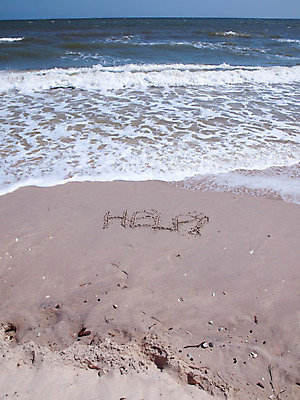 포토 JPG 해외이미지 모래 파도 바다 섬 컨셉 텍스트 자연 하늘 사람없음 모래사장 우주 쪽지 희망 기록 도움 황무지 메시지 구출 좌절 고독 땅 편지 그림 질감 sos 필기체 헬프 수평선 해외202004 해외포토 문자 감정 생태계 구조요청 파일형식 이미지허브