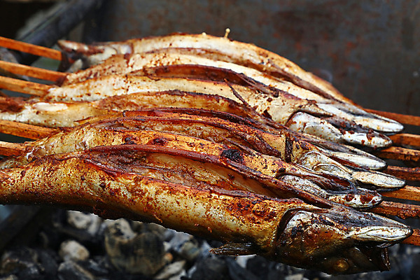 포토 JPG 해외이미지 어류 요리 사람없음 우주 신선 꼬치 그릴 각도 고등어 숯 스파이크 많음 해외202004 해외포토 컨셉 주방용품 수중동물 파일형식 이미지허브