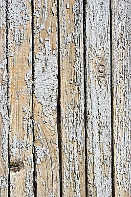 포토 JPG 해외이미지 디자인 선 벽 백그라운드 패턴 자연 탁자 날씨 바닥 사람없음 목재 줄무늬 손상 회색 수확 흰색 시골 점 얼룩 거친 그리기 널 질감 복고 잡동사니 내추럴 구식 그런지 수목 옛날 스타일 해외202004 해외포토 나무 컬러 가구 컨셉 무늬 농업 재료 모션 생태계 파일형식 이미지허브