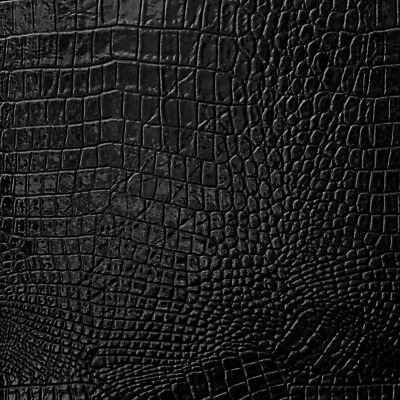 포토 JPG 해외이미지 동물 디자인 가구 백그라운드 패턴 가방 자연 벽지 표면 추상 미술 사람없음 장식 유행 검은색 어둠 회색 수확 골동품 덮개 직물 얼룩 거친 뱀 고급 선탠 가죽 피부 묘사 질감 복고 날것 악어 내추럴 양피지 옛날 진짜 해외202004 해외포토 잡화 컬러 생활용품 컨셉 무늬 농업 파충류 문화예술 신체부위 뚜껑 생태계 파일형식 이미지허브