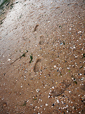 포토 JPG 해외이미지 모양 디자인 길 선 모래 파도 바다 여행 백그라운드 신발 패턴 자국 자연 표면 휴가 바닥 사람 풍경 사람없음 야외 여름 걷기 산책 젖음 인쇄 발자국 땅 질감 내추럴 깊이 방법 양발 각인 유일 해외202004 해외포토 계절 무늬 모션 휴식 생태계 파일형식 이미지허브