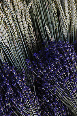 포토 JPG 해외이미지 식물 꽃 건조 사람없음 파란색 약 세일 보라색 프랑스 벚꽃 시장 밀 허브 향수 보따리 향기 아로마 비누 아로마테라피 소매 라벤더 라일락 내추럴 프랑스어 프로방스 해외202004 해외포토 문자 유럽 컬러 의학 곡류 위생용품 화장품 냄새 테라피 파일형식 이미지허브