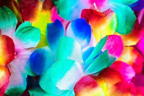 포토 JPG 해외이미지 식물 꽃잎 꽃 분홍색 꽃다발 꽃무늬 자연 휴가 사람없음 장식 빨간색 초록색 노란색 정원 보라색 봄 튤립 벚꽃 신선 난초 하와이인 해외202004 해외포토 외국인 계절 컬러 무늬 생태계 파일형식 이미지허브