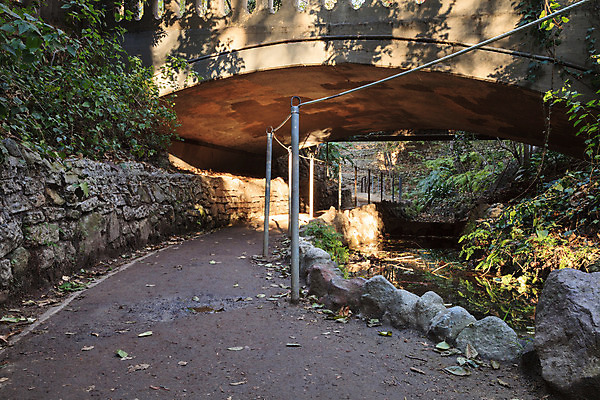 포토 JPG 해외이미지 식물 자국 자연 휴식 천사 건강 사람없음 초록색 물 미국 침묵 봄 폭포 하이킹 연못 신선 캘리포니아 로스앤젤레스 양치류 해외202004 해외포토 자연요소 계절 컬러 컨셉 북아메리카 레저 소리 생태계 파일형식 이미지허브