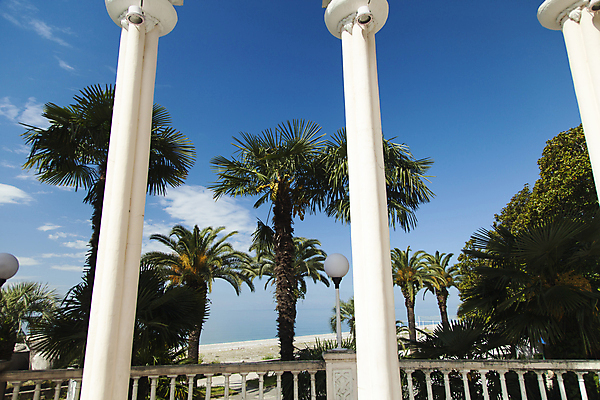 포토 JPG 해외이미지 나무 식물 구름 공원 도로 모래 벽 바다 섬 여행 백그라운드 과일 자연 하늘 휴가 휴식 손바닥 풍경 사람없음 야외 초록색 여름 파란색 태양 맑음 미국 흰색 나뭇가지 뜨거움 장면 코코넛 내추럴 고립 마이애미 이국적 파라다이스 플로리다 해외202004 해외포토 자연요소 손 계절 공공시설 길 컬러 컨셉 북아메리카 교통시설 날씨 생태계 파일형식 이미지허브