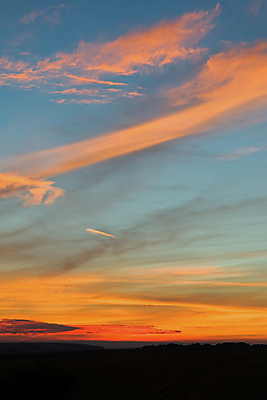 포토 JPG 해외이미지 나무 구름 실루엣 분홍색 백그라운드 오렌지 자연 하늘 추상 잉글랜드 사람없음 여름 파란색 태양 평화 일몰 분위기 7월 내추럴 서식스 사우스다운스 해외202004 해외포토 자연요소 식물 계절 컬러 컨셉 무늬 과일 영국 촬영기법 노을 날짜 생태계 파일형식 이미지허브